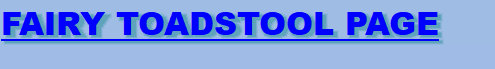 bearsandpugs22008007.jpg